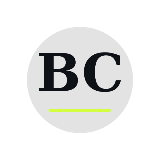 Barry Chimney Services logo